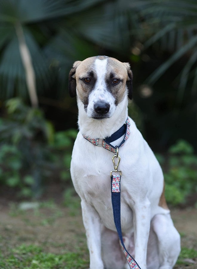 Mutt of Course طوق مارتينجال من Mutt of Course Candy Barrr (مجموعة كبيرة) - Image 3